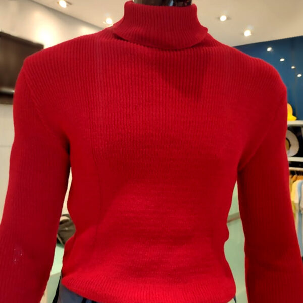 Blusa Gola Rolet Masculina Vermelha Loja de Inverno